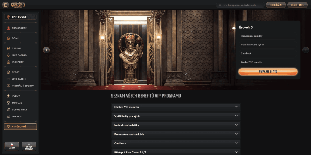 VIP program