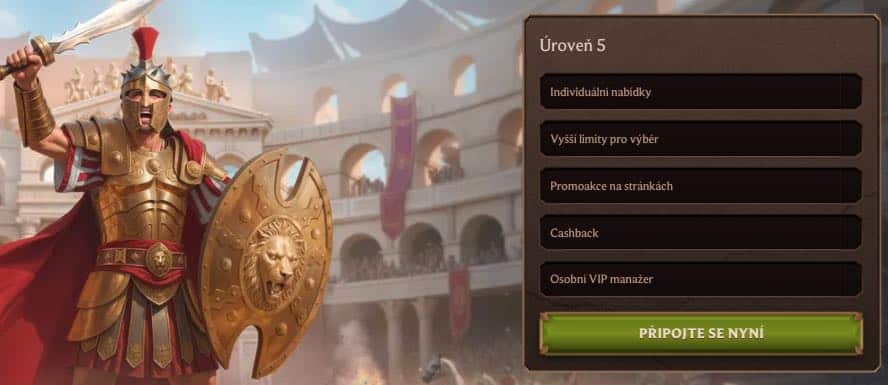 VIP program